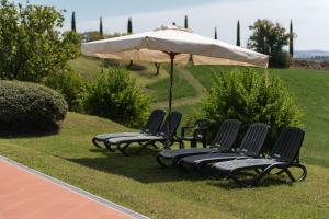 Green Hill Apartment In Tuscan Countryside