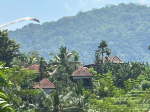 Beji Ayu Villas Sidemen