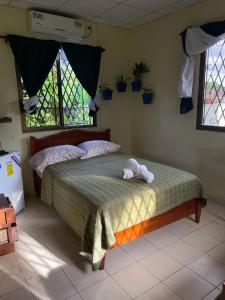 Hostel Kimmell Hostal Familiar La Casita De Los Kimmell