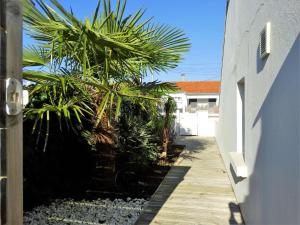 Dauphin Saint Gilles Croix de Vie