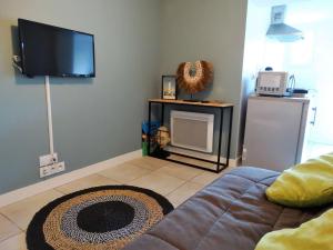 Dauphin Saint Gilles Croix de Vie