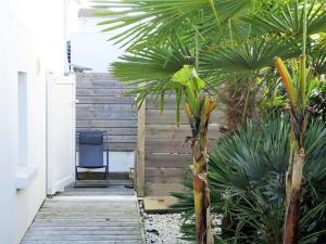 Dauphin Saint Gilles Croix de Vie