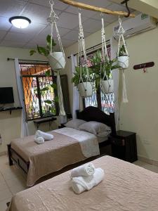 Hostel Kimmell Hostal Familiar La Casita De Los Kimmell