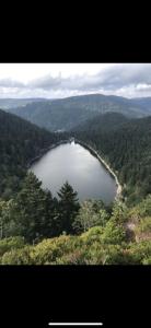 Appartement La Bresse