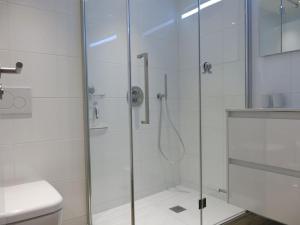 Tulipe Saint Gilles Croix de Vie