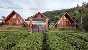 Vaango Cottages - Idukki