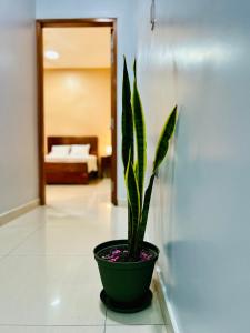 Departamento Céntrico en Iquitos - Casa Alemi