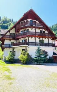 Casa Mădălina - Мойечу-де-Сус