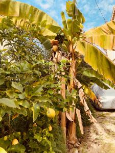 NEW renovated spacious 2 BR Apt AC 300m from Beach