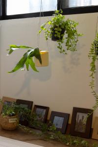 Hommie Ground Seonyudo