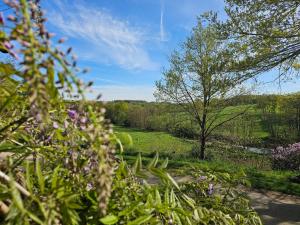 Maisons de vacances Bien-etre & Spa privatif - Spa de nage, sauna, lit hydromassant & relaxation Immersive : photos des chambres