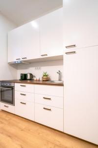 Modern Downtown Apartment