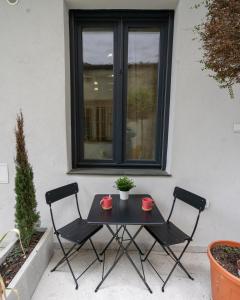 Modern Downtown Apartment