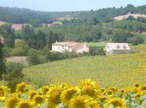 Charming cottage style property nestled in stunning French countryside near Carcassonne and Mirepoix