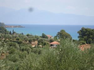 Villa Carisma