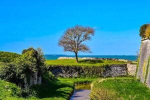 Maisons de vacances Le Petit Chai de Gresillon : photos des chambres