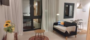 Estudio centro de La Laguna