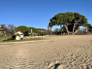 Appartements Appartement 2 pieces avec terrasse et piscine a La Londe-les-Maures - FR-1-826-7 : photos des chambres