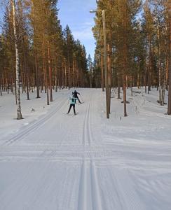Levi Petsukkarinne Apartment
