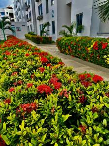 Caribe campestre coveñas