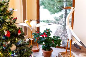 Continent Hotel Kapadokus Thermal