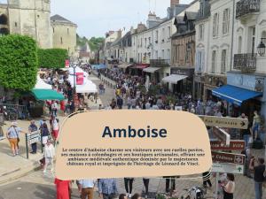 Appartements GITE RABELAIS - A 5MIN DU CHATEAU D'AMBOISE : photos des chambres