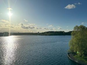 Lakeside Penthouse View