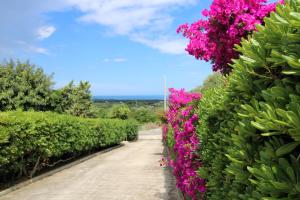 Asinara Appartment img43