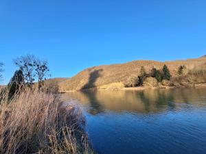 Maisons de vacances Relaxooz : photos des chambres