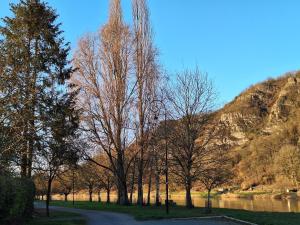 Maisons de vacances Relaxooz : photos des chambres