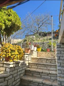 Guesthouse & Hospitality