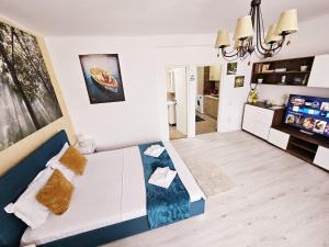 Lovely Studio in Downtown Bucharest