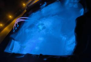 Domki letniskowe Pod Aniołem Wieleń