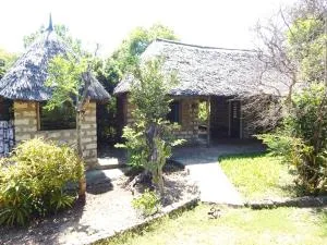 Tiny Mangroovehouse - Mida