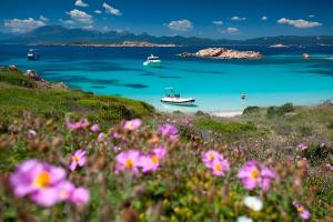 DaNiCo Residence img17