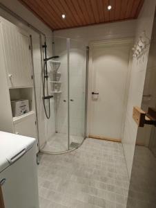 Levi Petsukkarinne Apartment