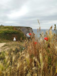 Seinebnb - Havre de paix à la campagne - Honfleur