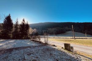 Chalets BEAUTIFUL CHALET in nature near Gerardmer! : photos des chambres