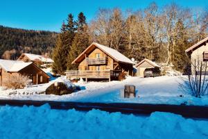 Chalets BEAUTIFUL CHALET in nature near Gerardmer! : photos des chambres