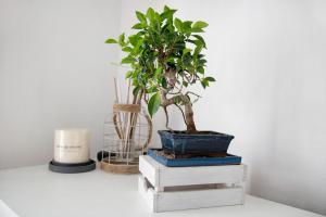 Appartamento Stefano