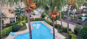 Le Palmier Holidays 2