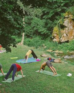 OASI LIGNANA Suite Apartments