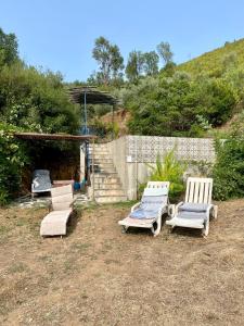 Unique Tiny House with Natural Building Techniques