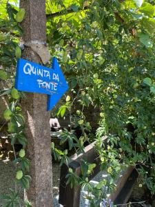 Guest Room Agro-turismo Quinta da Fonte Bed&Breakfast