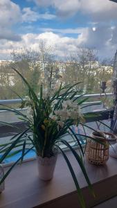 Chambre chez lhabitante avec salle de bain et cuisine communes - Présence dun chat