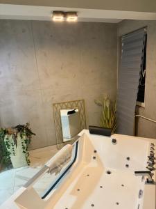 Nis centar apartman