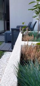 Studio z ogrodem przy Orlej