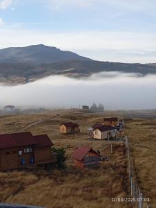 Villa Jaguar Berlín