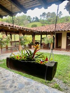 Finca de descanso la Rumanía