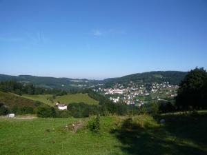 Maisons de vacances Chalet luxe 13 personnes SPA SAUNA VOSGES-GERARDMER : photos des chambres